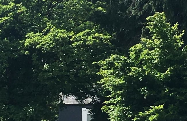 The Old Boathouse - Photo 23