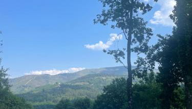 Casa do Tapadinho - Photo 2