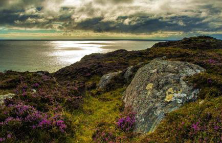 West Horizon holiday cottage - Foto 34