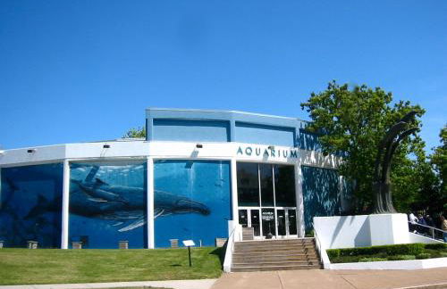 Falls Retreat - Walk to the Falls, the Casino and all Downtown Restaurants - Across from the Aquarium - Photo 17