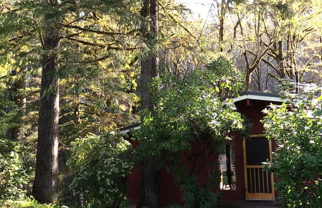 The Wayfarer Resort - Photo 62