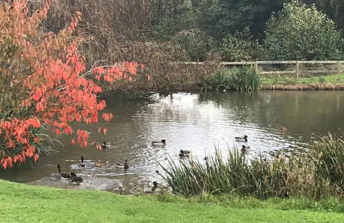 Halfmoon Lodge @ Knights Hole wheelchair access - Foto 21