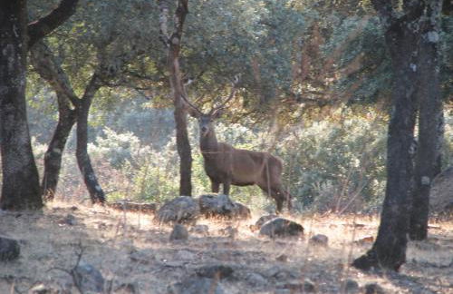 Apartamentos La Venta del Charco - Foto 61