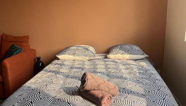 Boulevard du Roi René - Foto 3