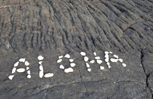 Ohana Beach Retreat at the Surf and Racquet Club - Foto 66