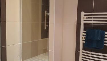 Appartement entier - Centre ville - Batiment historique - Foto 3, Shower