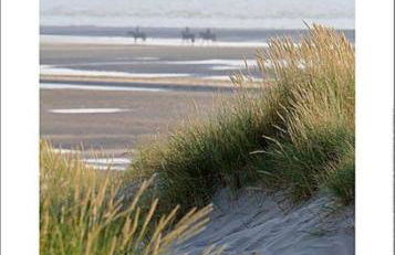 Le Metz, Duplex, 2 Chambres - Foto 18