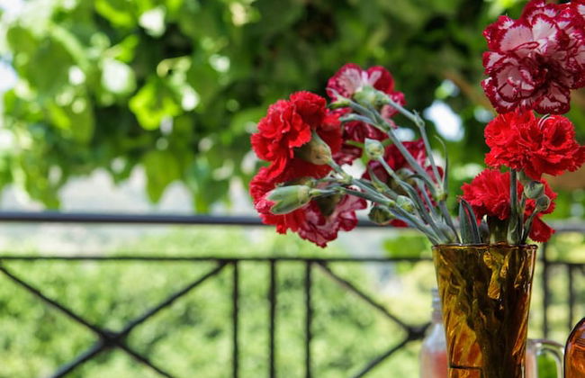 Valena Stylish Home -15 min to Elafonisi - Foto 37