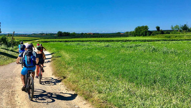 Lazise Vineyards E-Bike Tour and Wine Tasting - Foto 3