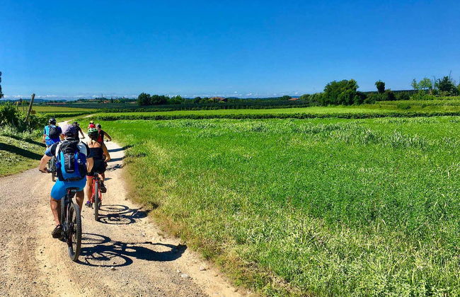 Tour dei vigneti di Lazise in bici elettrica + Degustazione di vino - Foto 2