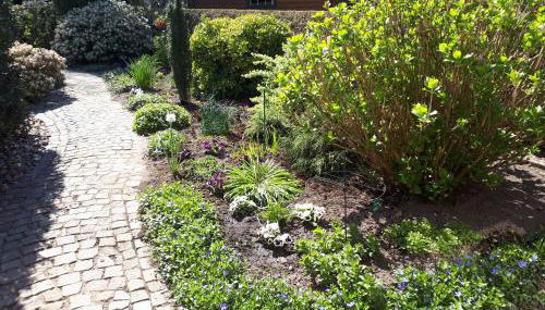 Rollstuhlgerechte 80m² grosse Ferienwohnung in Ostfriesland - Foto 2