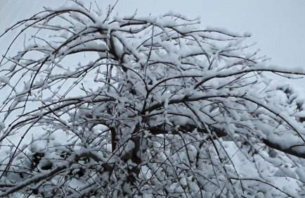 Fewo An der Mühlenbachaue - Foto 37