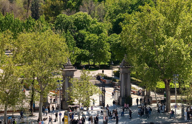 Casa Faraona Luxury Residences - Photo 55