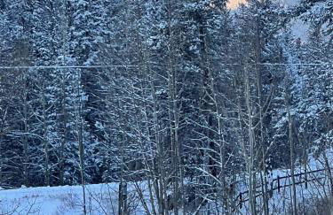 Meandering Moose Apartment Vacation Rental - Foto 38