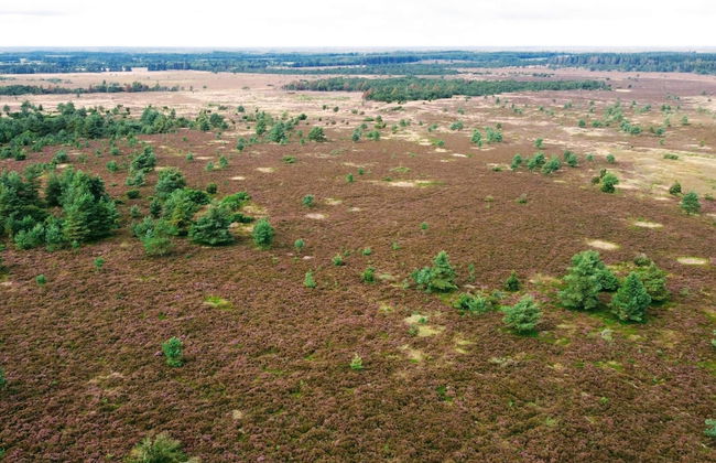 4 Person Holiday Home in Hovborg-by Traum - Foto 19