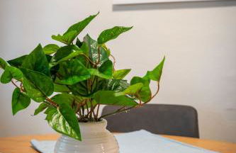 Private Apt Near Downtown & Hospital - Foto 16