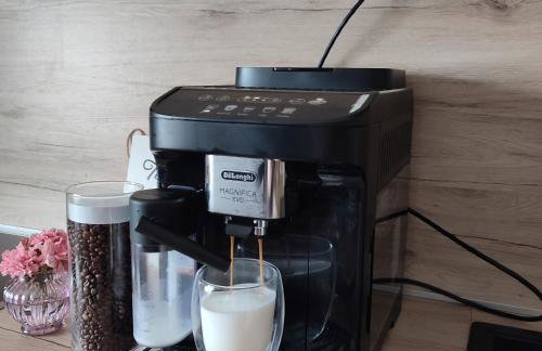 Amaryllis - Photo 24