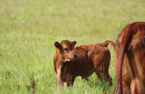 Entire flat 2 to 4 pers 1 bed 1 bath disabled access for limited disability - Foto 39