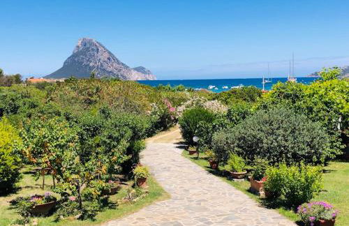 Bilocale Le Rose 100 mt spiaggia Porto Taverna - Foto 20