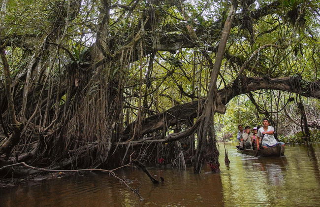 Excursión a la Reserva Ecológica de Tingana + Paseo en canoa - Foto 1