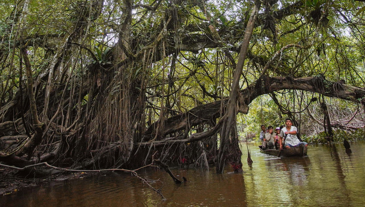 Escursione alla Riserva Ecologica di Tingana + Giro in canoa