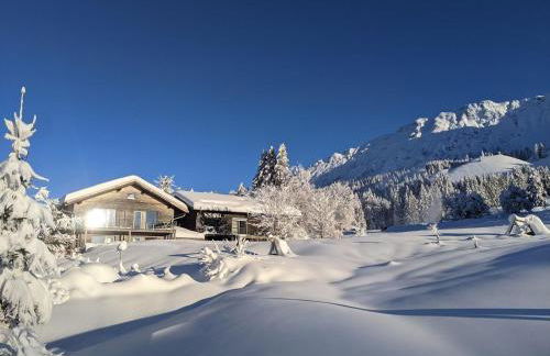 Ferienwohnungen Nachbaur - Foto 68
