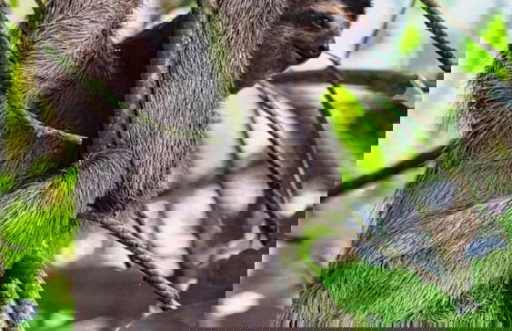 Container w Pool Backyard Parking BBQ Kitchen More in Playa Potrero - Foto 40