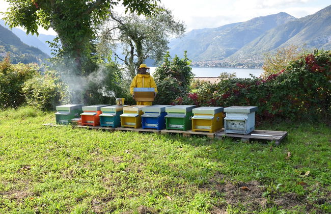 Agriturismo Il Colle - Foto 69