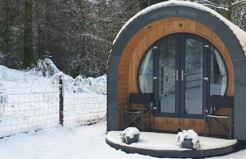 Squirrels Wood Lodge, nr Glencoe, dog friendly - Foto 33