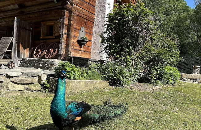 Chaletdorf Eggerfeld - Foto 31