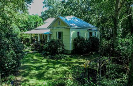 Firefly Garden - Foto 46