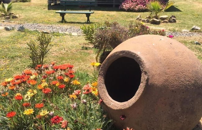 Cabañas del Faro - Foto 17