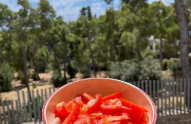 Pinetamare Azur - Panoramic Rooftop villa apartment Porto Selvaggio - Foto 31