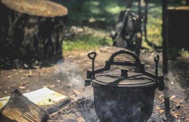 Chatka w lesie - Foto 10