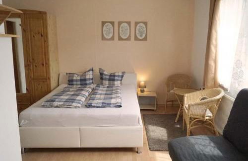 Haflinger Reiterhof Meura - Foto 5