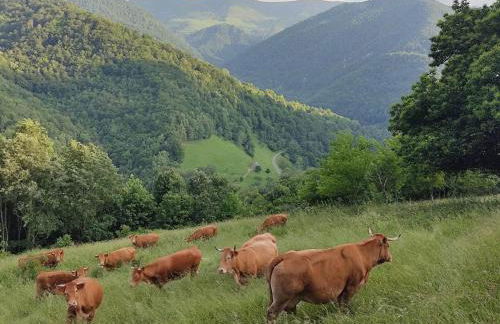 La Grange de l'Ours - Foto 39
