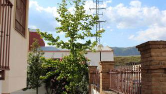 Villa Rural Campillo de Arenas - Foto 3