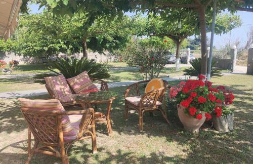 Sun N Sand - Foto 33