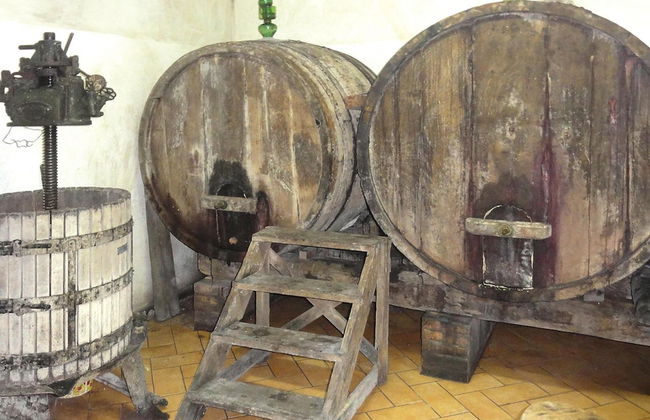 Villa in Tuscany Near Vinci Museum - Foto 24