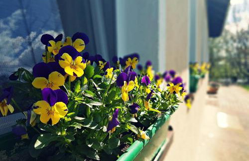 Agroturystyka Pod Modrzewiami - Foto 59