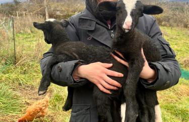 Suite de charme et son jacuzzi en pleine nature - Foto 14