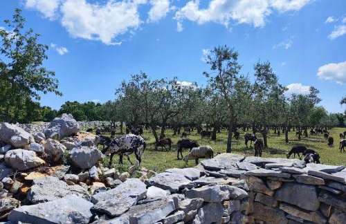 Holiday Home Respira - Foto 52