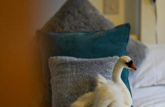 Eider Cottage Lower Mill Estate Lakeside Escape with Spa Access - Foto 58