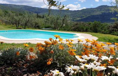 Margherita Holiday Home - Foto 14