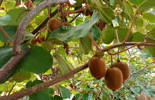 Refúgio de Alburitel - Foto 45