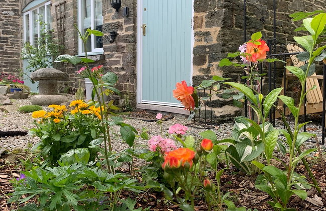 1 Bed-pet Friendly-parking-patio-close to Coasts - Foto 60