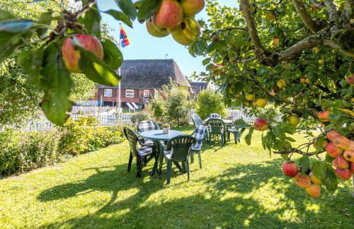 Haus Nommensen - Foto 4