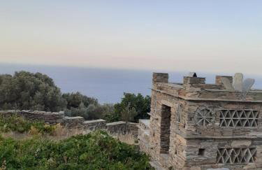 Andros Vineyard house with sea view - Foto 20