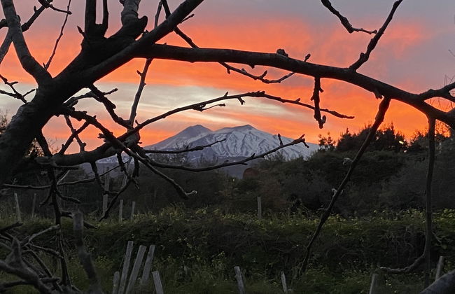 Agriturismo Etna-Mare - Photo 44