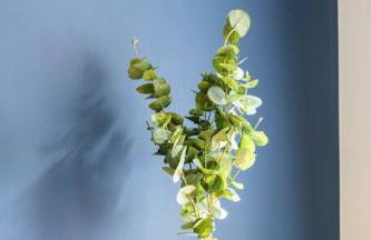 Wohlfühloase im hippen Leipziger Osten - Foto 22